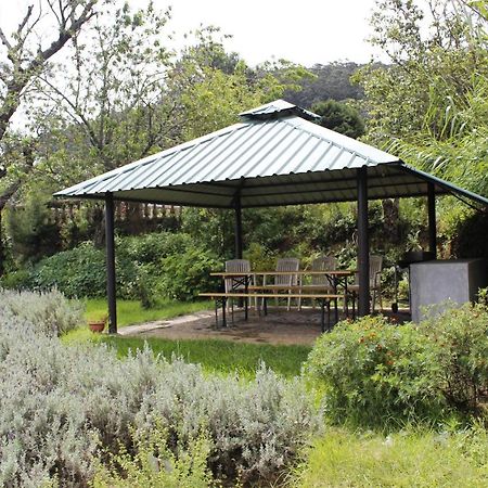 Senani Colonial Holiday Bungalow Nuwara Eliya Dış mekan fotoğraf