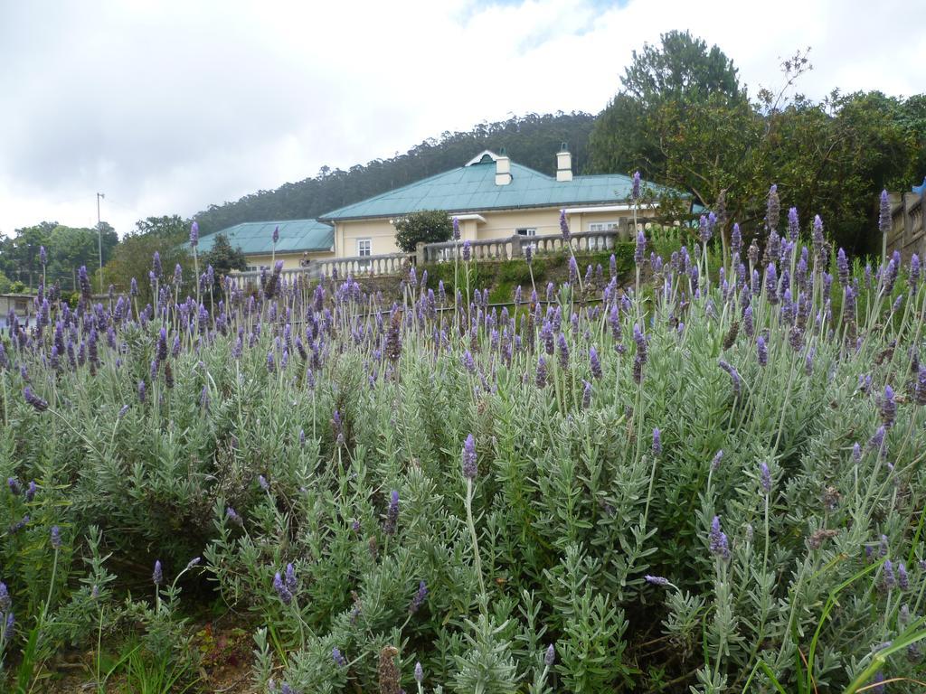 Senani Colonial Holiday Bungalow Nuwara Eliya Oda fotoğraf