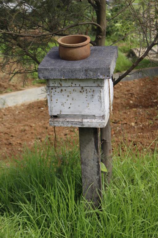 Senani Colonial Holiday Bungalow Nuwara Eliya Dış mekan fotoğraf