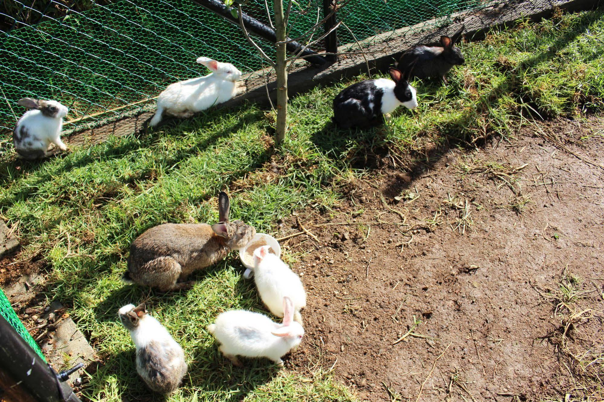 Senani Colonial Holiday Bungalow Nuwara Eliya Dış mekan fotoğraf