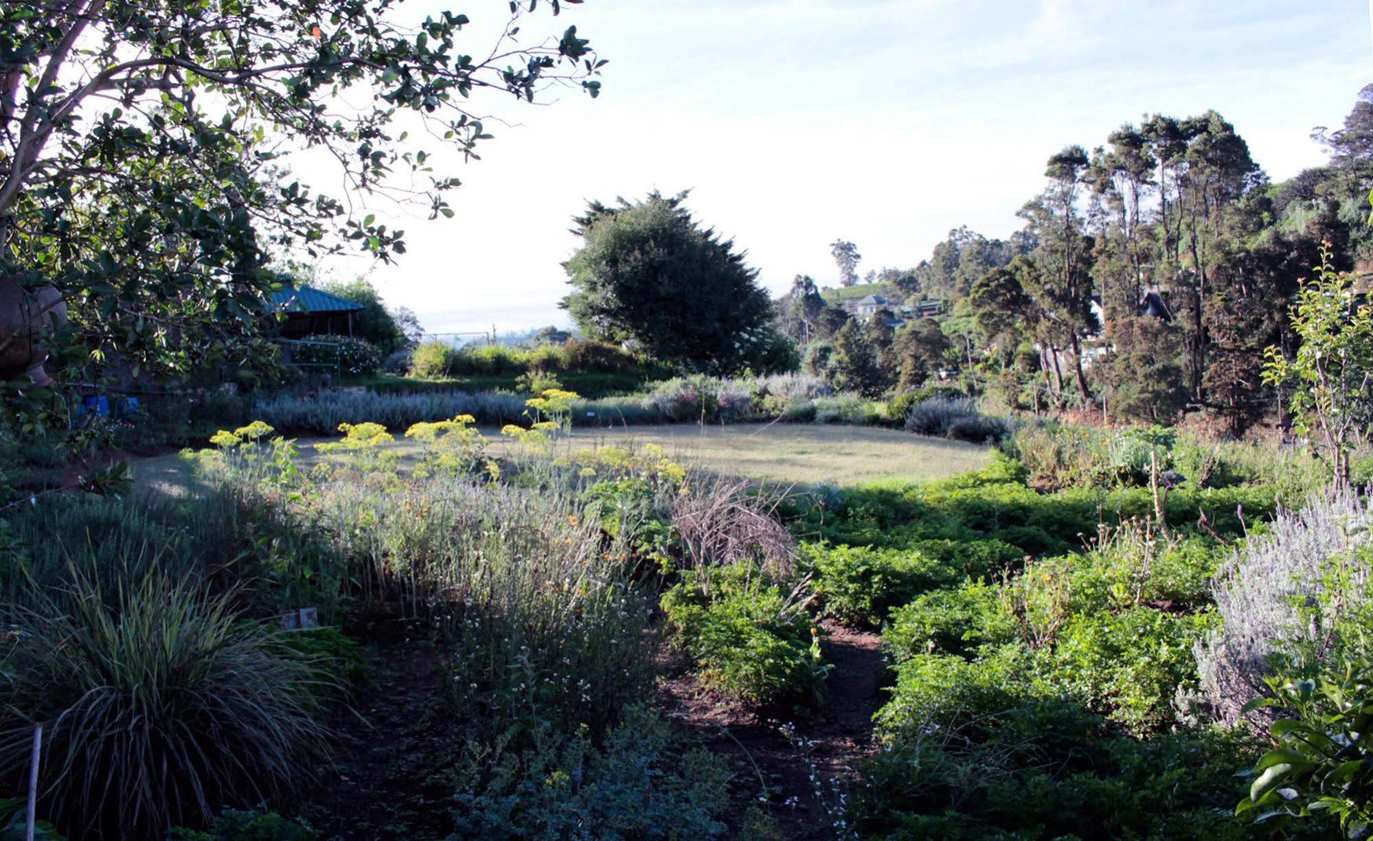 Senani Colonial Holiday Bungalow Nuwara Eliya Dış mekan fotoğraf